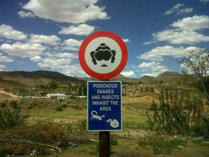Funny warning sign for poisonous snakes and insects in rural area