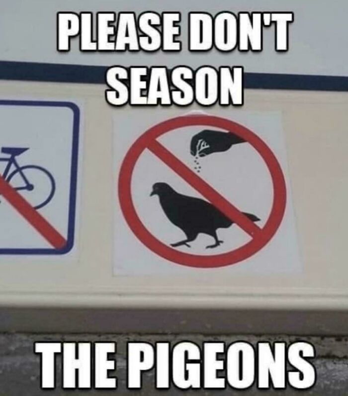 Humorous sign asking people not to season the pigeons