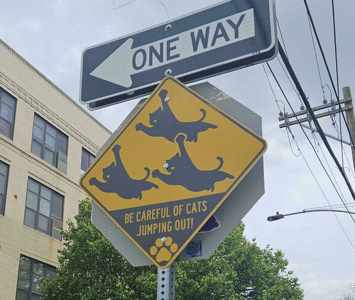 Caution sign warning about cats jumping out on the street