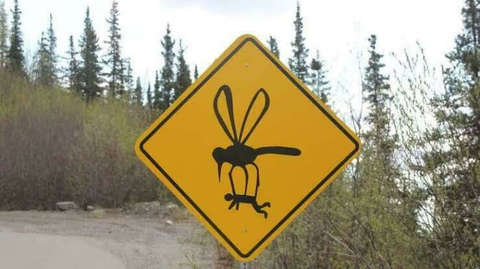 Funny sign showing giant mosquito carrying a person in wilderness area
