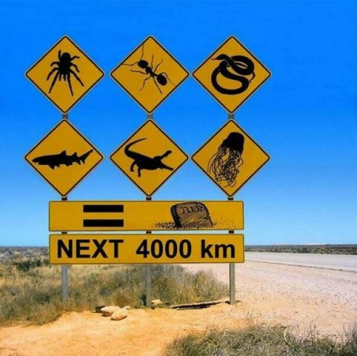 Humorous sign warning of dangerous animals for next 4000 km on road