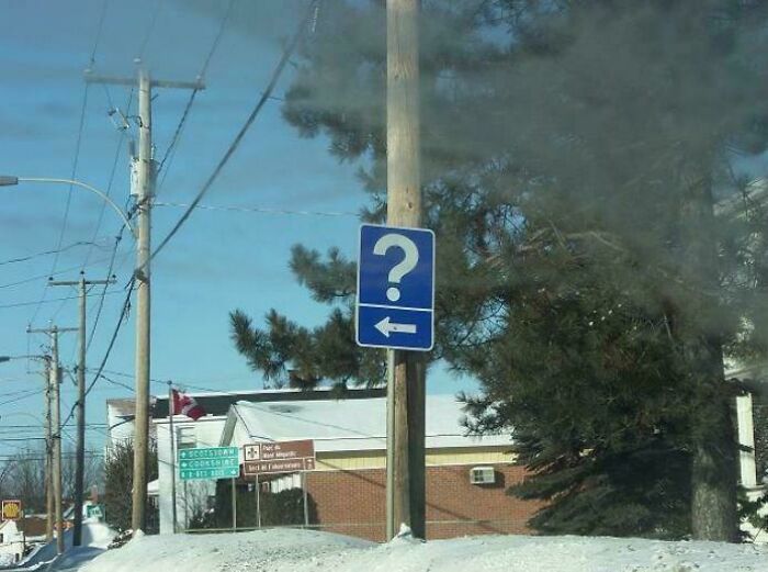 Blue directional road sign with a question mark pointing left amid snowy surroundings