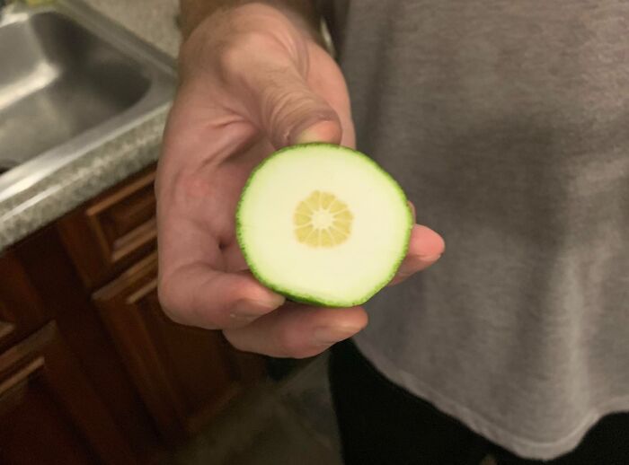 We Were Really Excited To Use A Lime From Our Lime Tree For The First Time