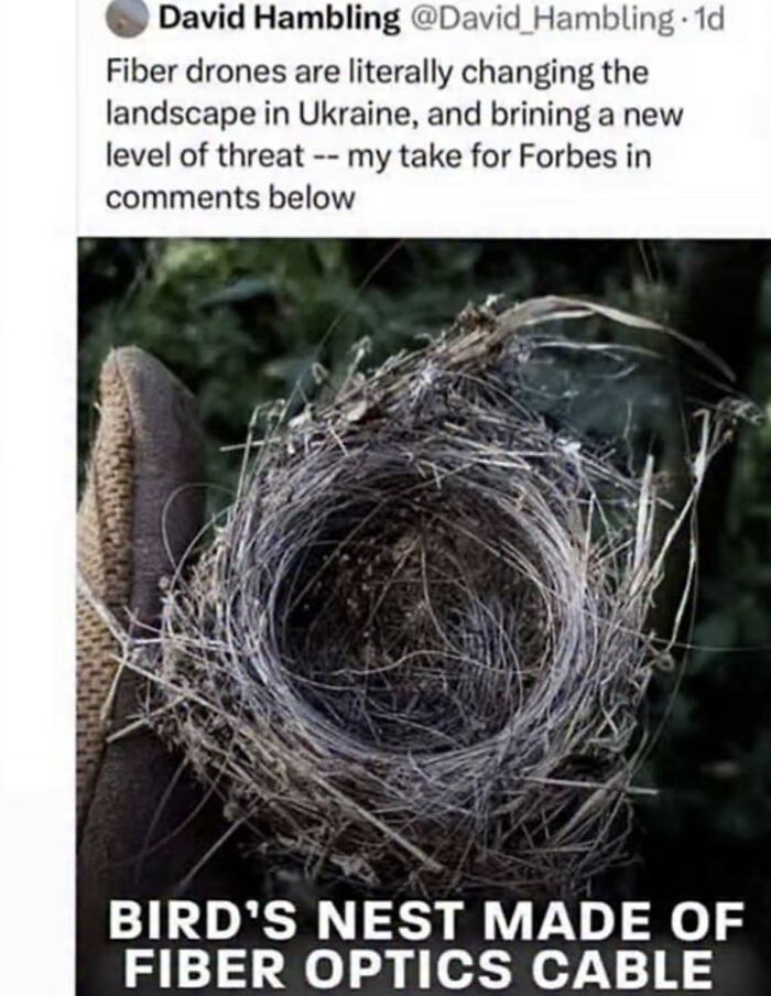 Birds nest made of fiber optics cable spotted in Ukraine