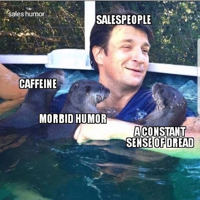 Man in pool with otters labeled caffeine, morbid humor, and dread symbolizing salespeople traits