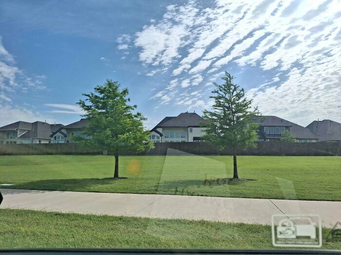 Empty suburban lawn with trees and distant houses under blue sky