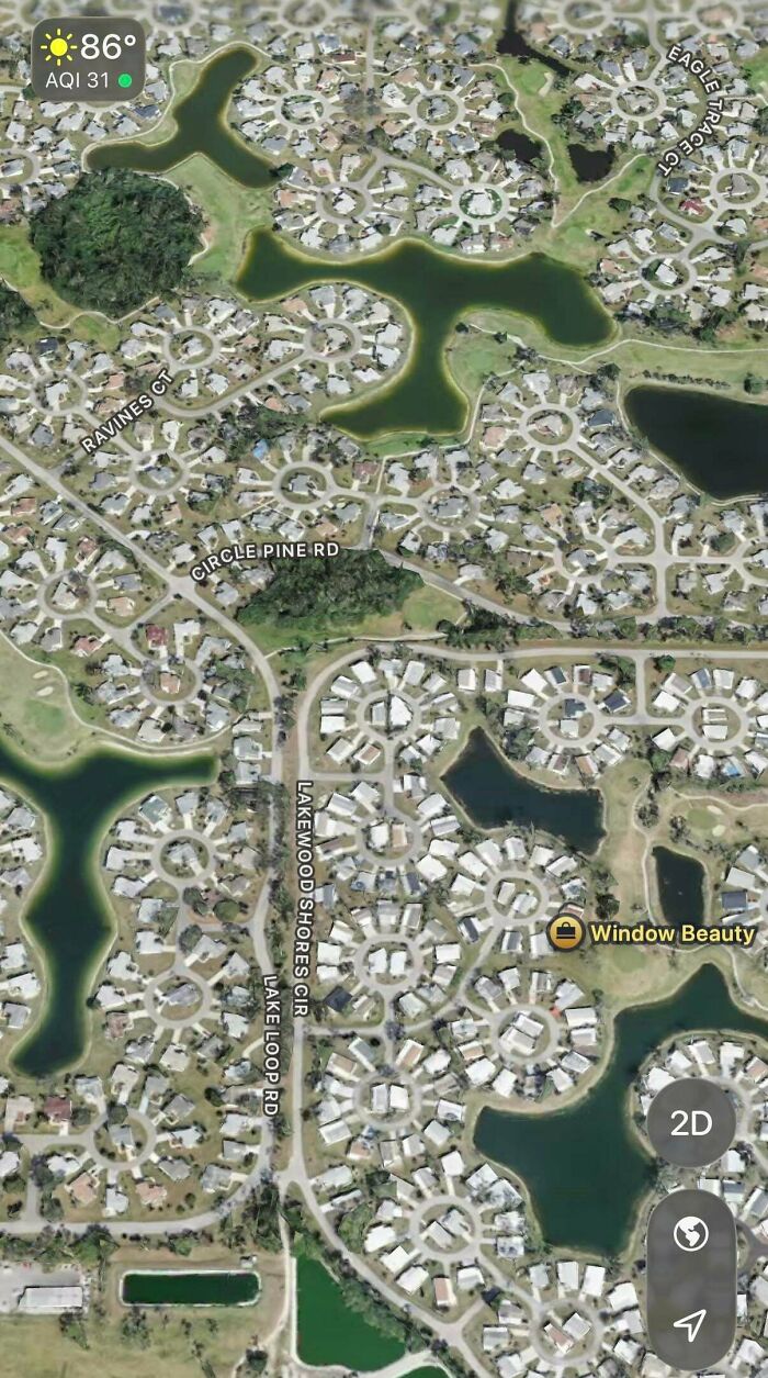 Suburban hell satellite image of a neighborhood with circular street patterns and water bodies
