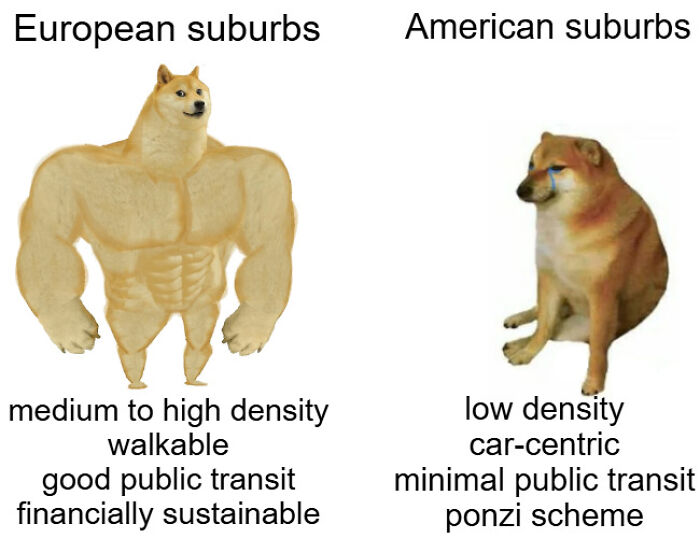 Muscular dog representing European suburbs vs sad dog representing American suburbs density
