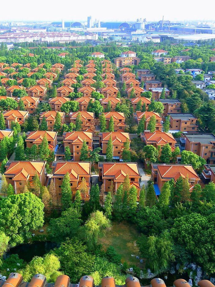 Aerial view of suburban homes with orange roofs surrounded by greenery in an urban area