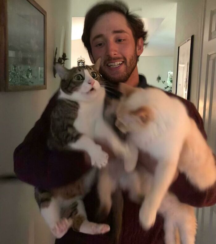 Man holding two cats in a funny cringe fail moment