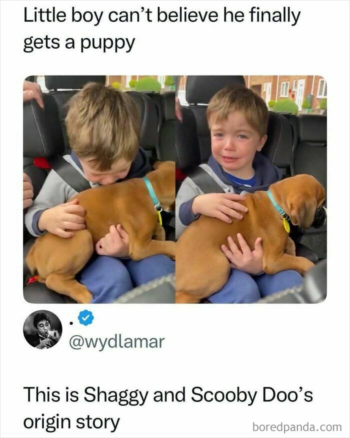 Little boy crying while holding puppy, emotional childhood moment