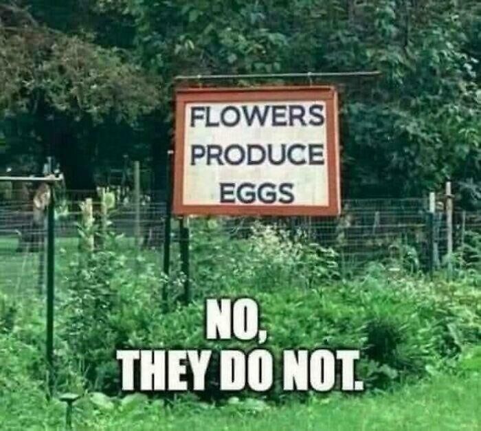 Funny garden sign incorrectly stating flowers produce eggs