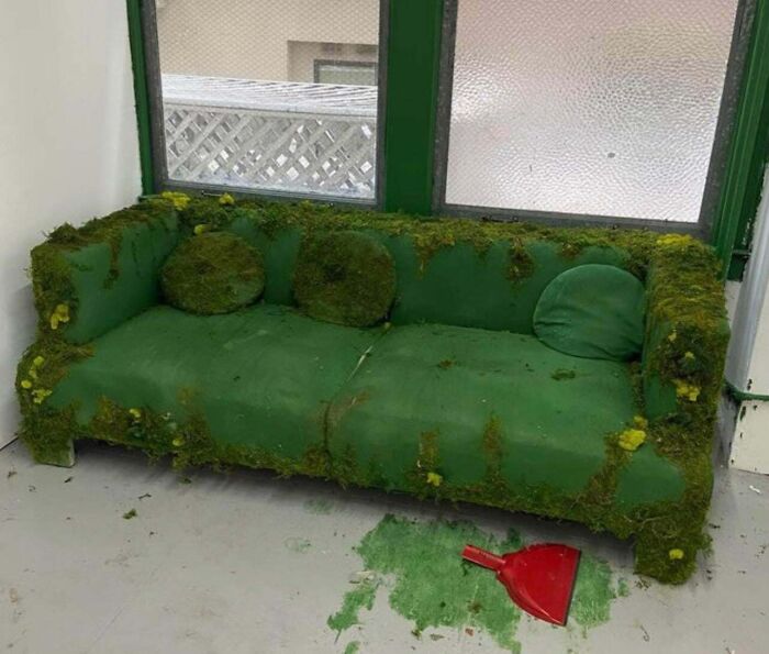 A green moss-covered couch with matching pillows and a red dustpan on the floor, unusual interior designer piece.