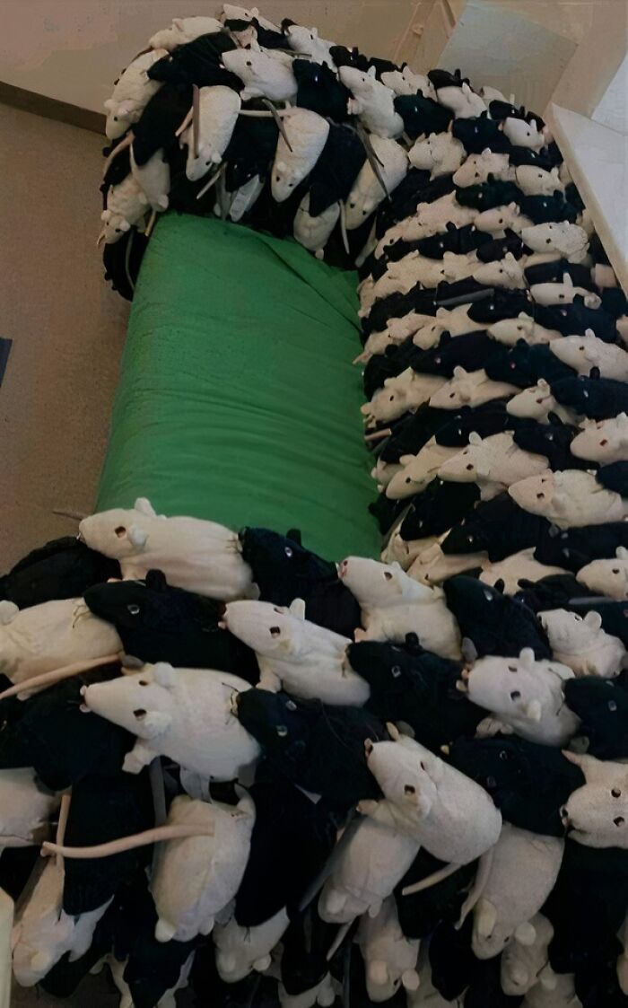 An unconventional couch covered in an array of black and white plush mice, a bold interior design choice.