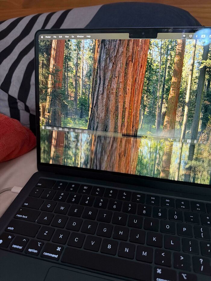 A laptop displaying a wallpaper of a forest with tall trees and their reflection in the water, a distraction from toxic teachers.