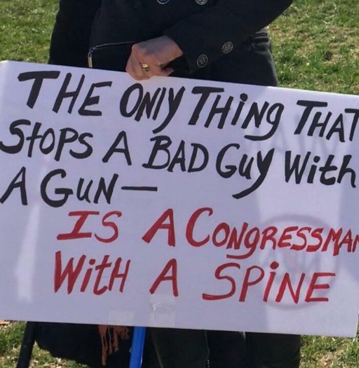 Protest sign about bad guys with guns and congressmen with spines