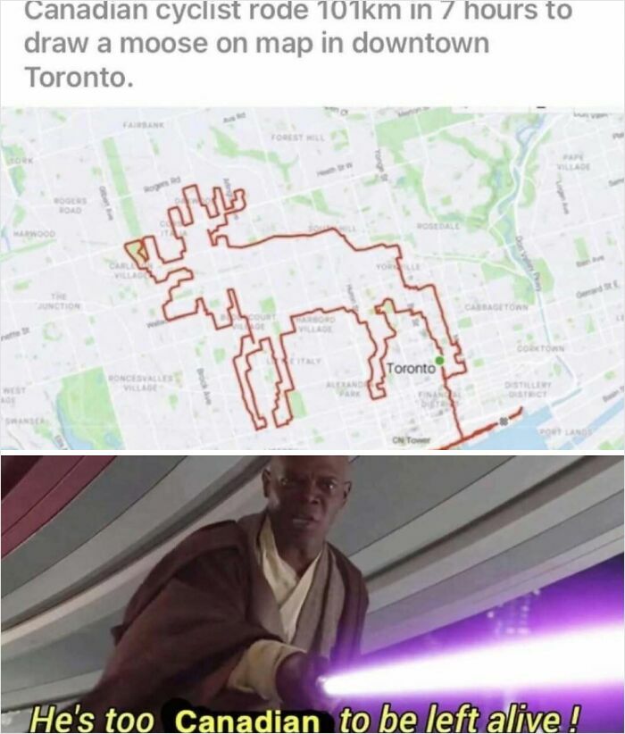 Canadian cyclist draws moose on map of Toronto meme
