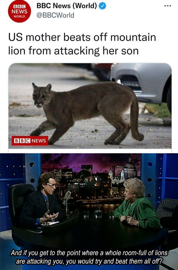 Local newspaper headline about US mother beating off mountain lion attack