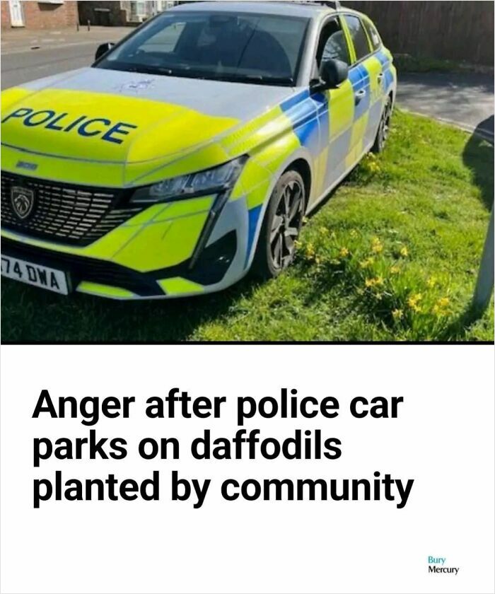 Police car parked on grass with community-planted daffodils causing anger