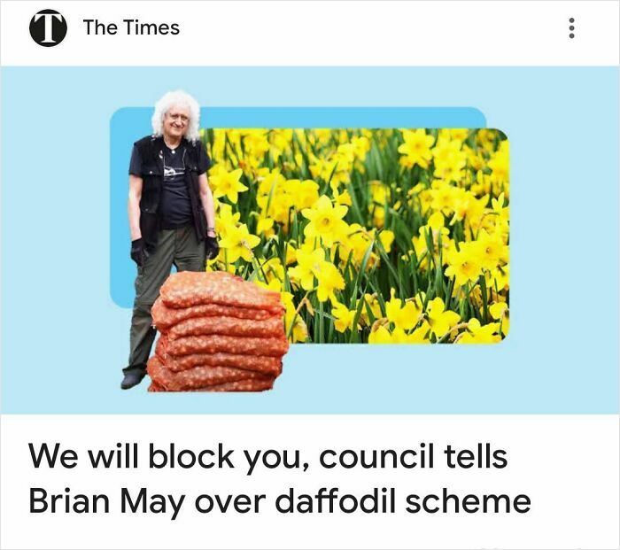 Brian May told by council they will block him over daffodil scheme