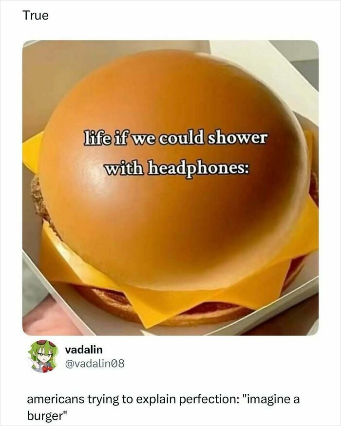 Funny meme comparing perfect burger to life with headphones humor