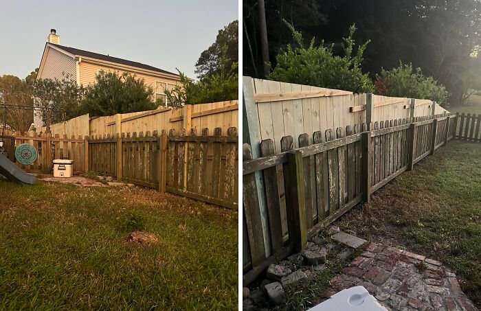Fence renovation fail with old and new wood mismatched in backyard