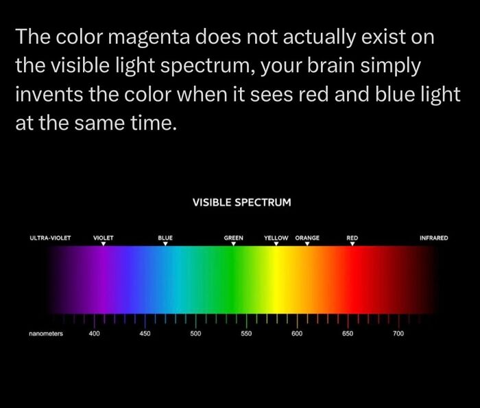 Color magenta doesn't exist in visible spectrum brain creates it from red and blue light
