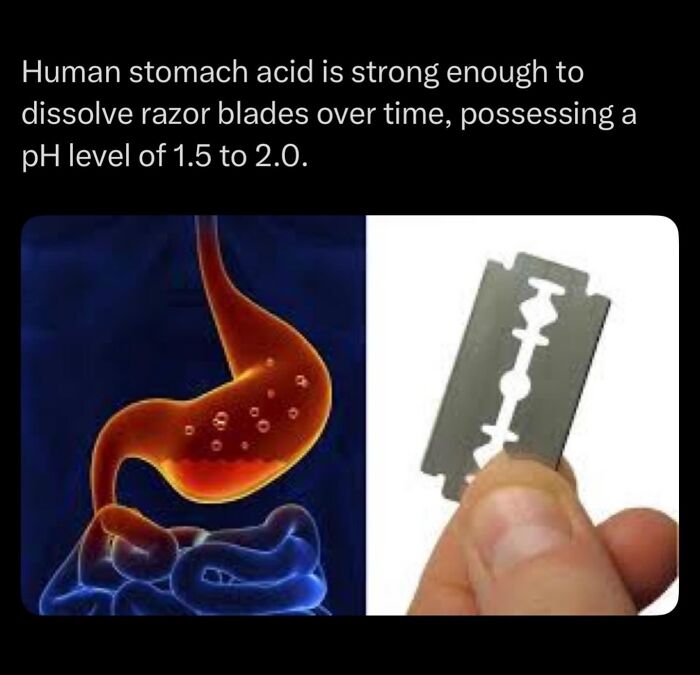 Human stomach acid with pH 1.5 to 2.0 is strong enough to dissolve razor blades