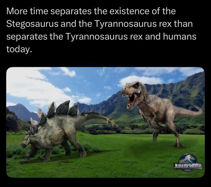 More time separates Stegosaurus and Tyrannosaurus rex than T rex and humans today