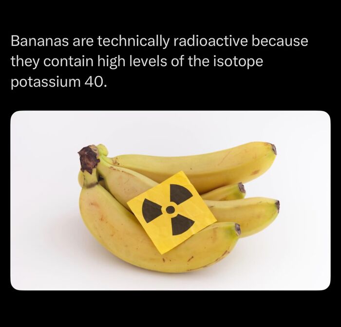 Bananas with radioactive symbol illustrating potassium 40 isotope facts