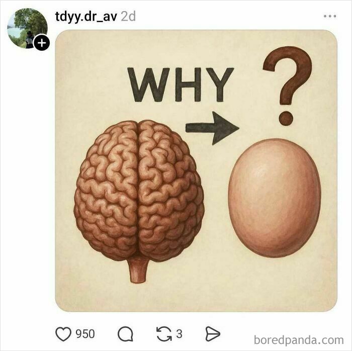 Illustration of brain and egg with question mark highlighting brain and egg comparison