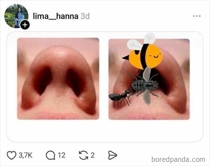 Close-up of nostrils with cartoon insects inside one nostril representing nostril discussion