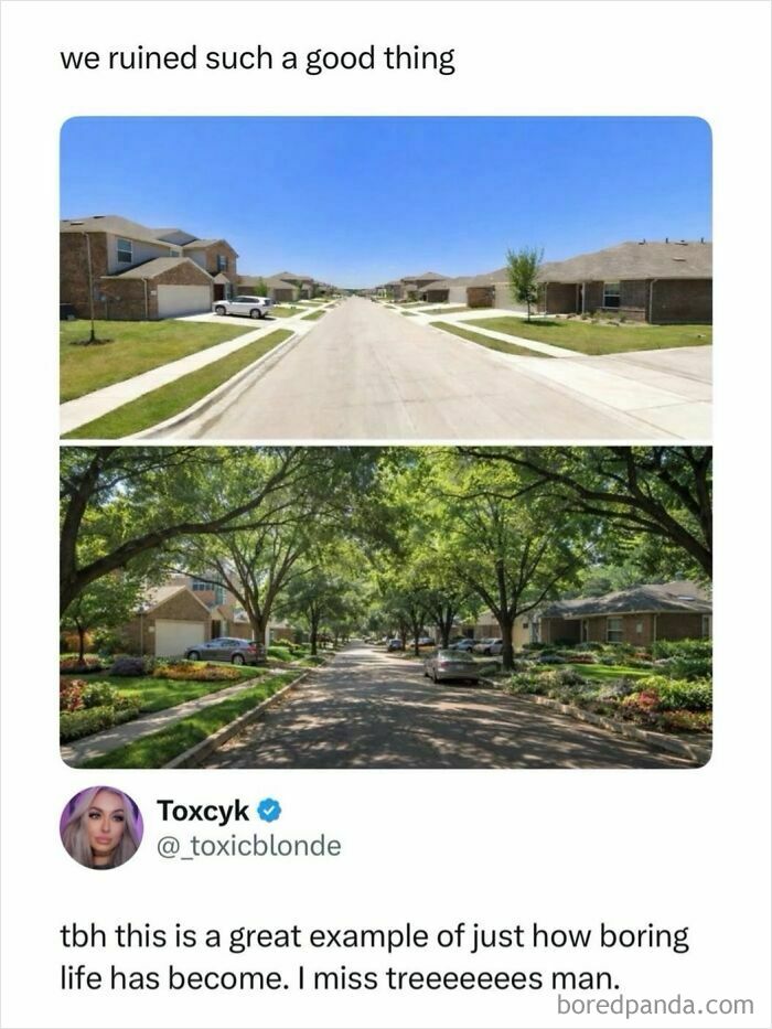 Comparison meme of boring street without and with trees