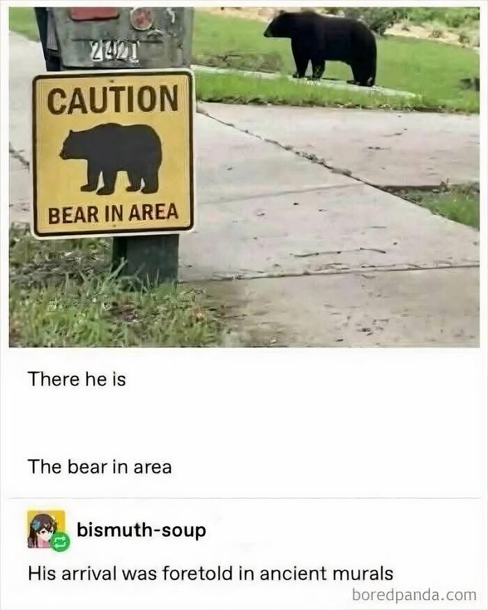 Bear walking near caution sign bear in area meme