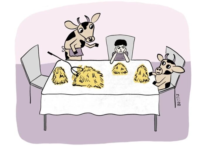 50 Clever Single Panel Cartoons By Katherine Bettis That Turn Everyday Thoughts Into Brilliant Absurdity