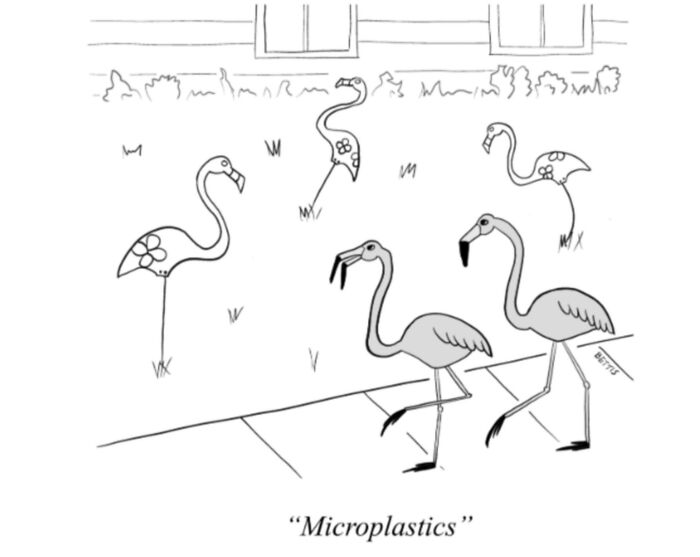 50 Clever Single Panel Cartoons By Katherine Bettis That Turn Everyday Thoughts Into Brilliant Absurdity