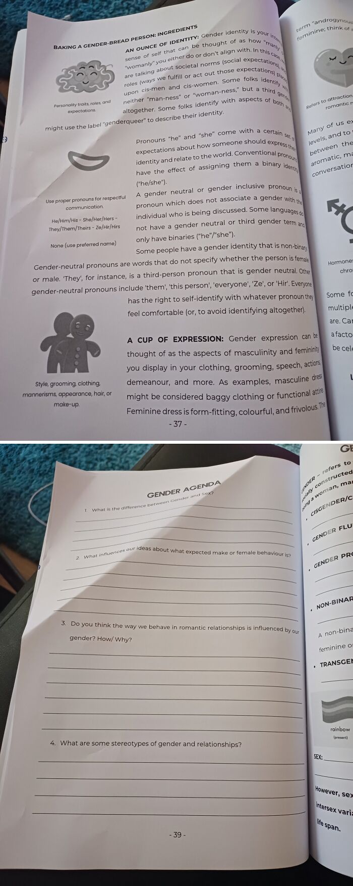 An open textbook discussing gender identity, related to teachers teaching potentially annoying or toxic content.