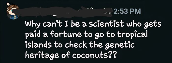 Screenshot of a funny and unpredictable sentence about a scientist checking coconut genetics.