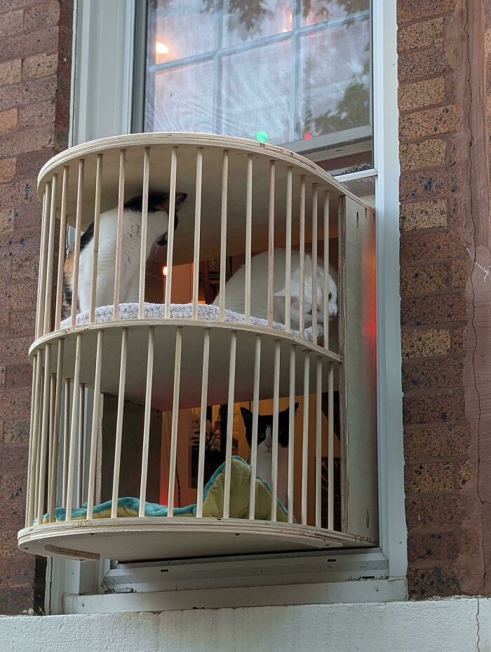 First Project, Window Box For The Cats