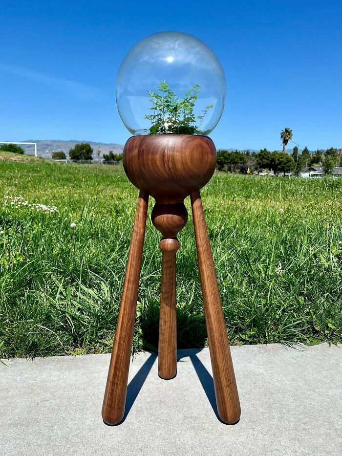 Terrarium Stand I Made Out Of Walnut
