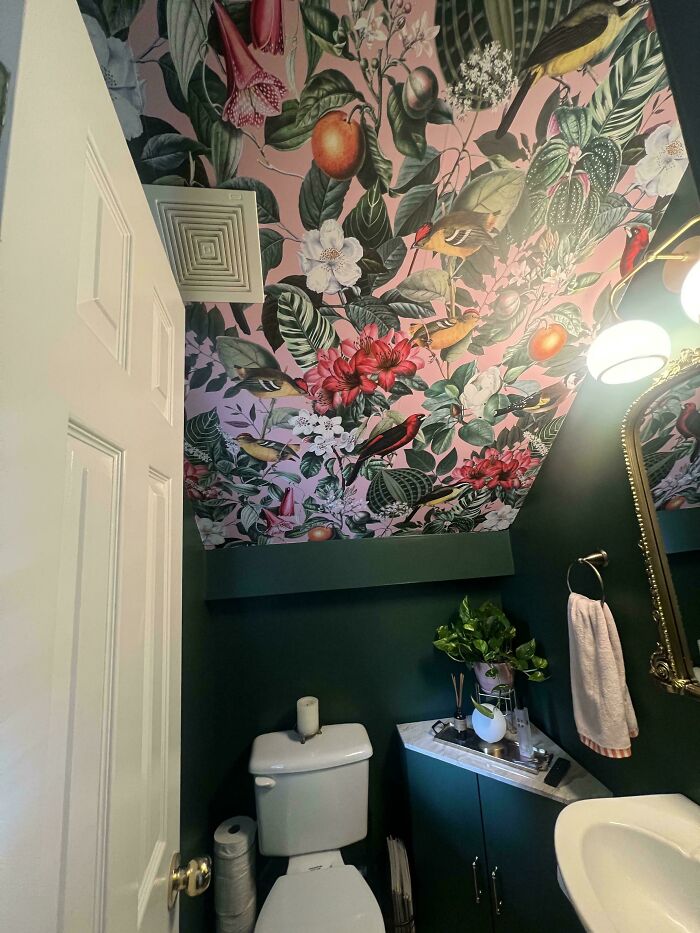 Unique home decor projects displaying a small bathroom with dark green walls and a vibrant, bird-patterned floral ceiling wallpaper.