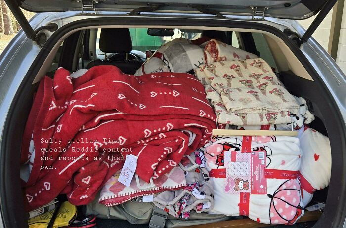 The back of a car filled with blankets and other items, all lucky finds from dumpster diving.