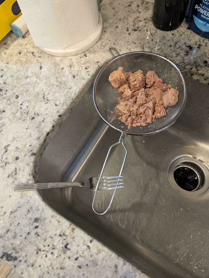 Canned tuna being drained in a sieve over a sink, a mildly interesting picture of kitchen mishap.