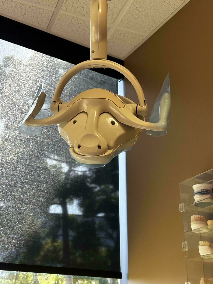 A dental lamp appearing as a mildly interesting picture of a surprised face.