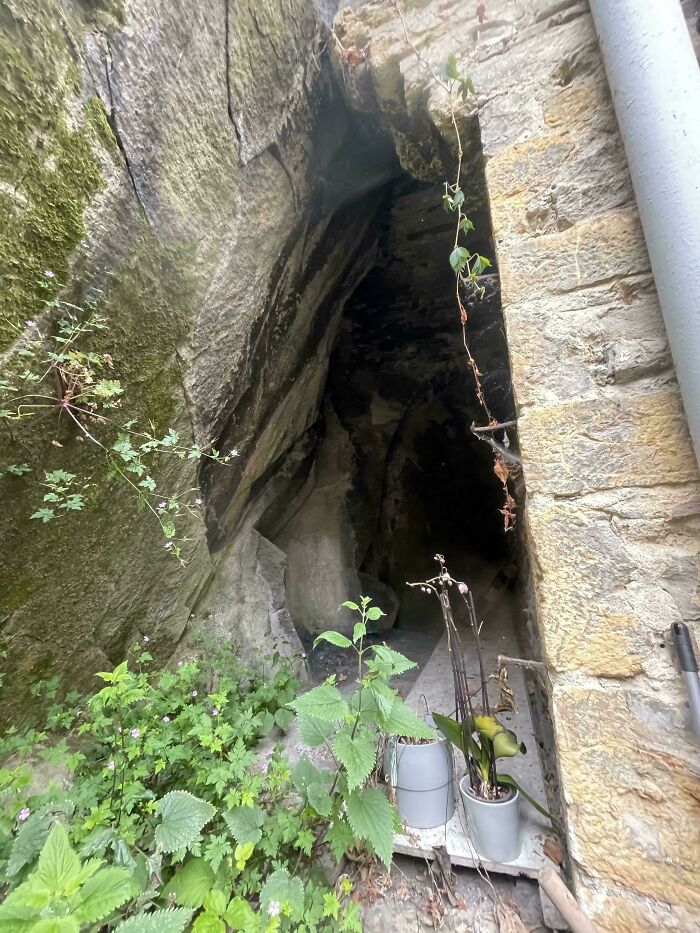 A mildly interesting picture of a dark, rocky cave entrance covered with moss and surrounded by green plants.