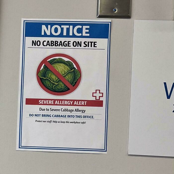 A mildly interesting picture of a notice sign stating No Cabbage On Site due to a severe cabbage allergy.