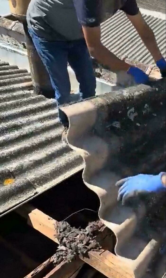 Workers with blue gloves replacing a broken corrugated roof piece, revealing dangerous things.