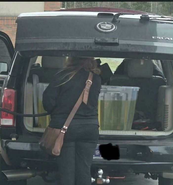 A person at a gas pump filling clear plastic containers with gasoline in the trunk of a black SUV, a dangerous act.