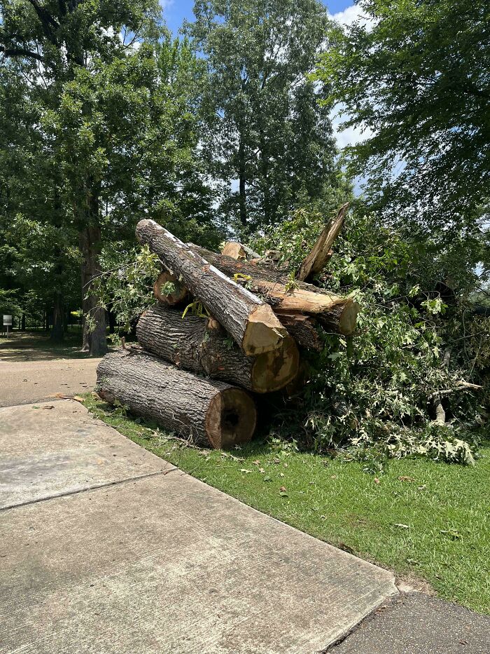 A large pile of dangerous and unnecessary logs and branches, remnants of trees, next to a paved path.
