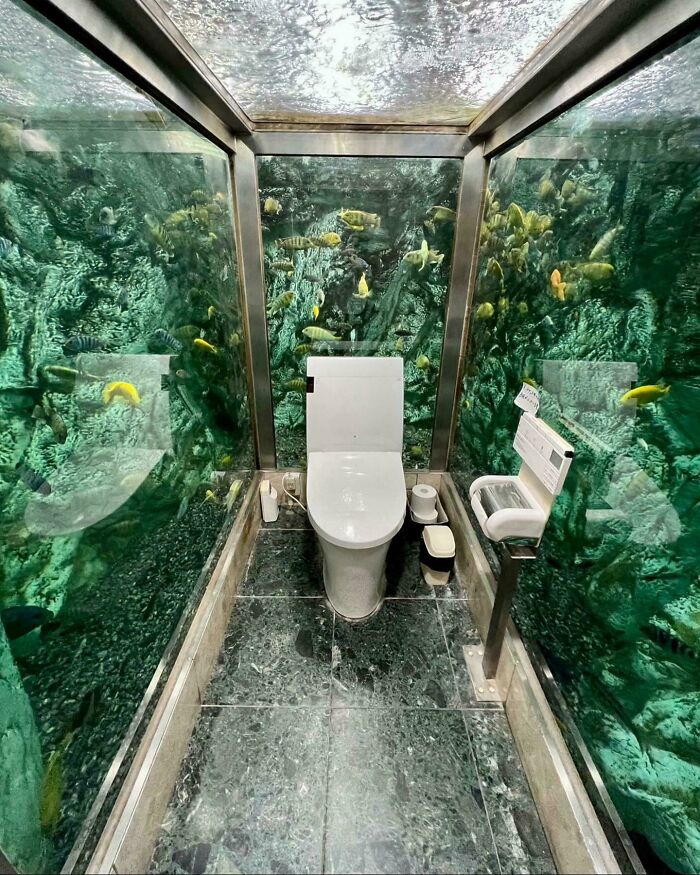 An elaborate bathroom with fish surrounding the toilet, a fascinating pic for a 5-minute brain boost.